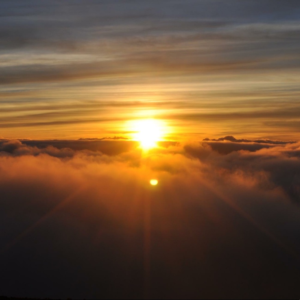 Meet your Posher, Joanna